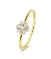 Silver Ring NSR-4336